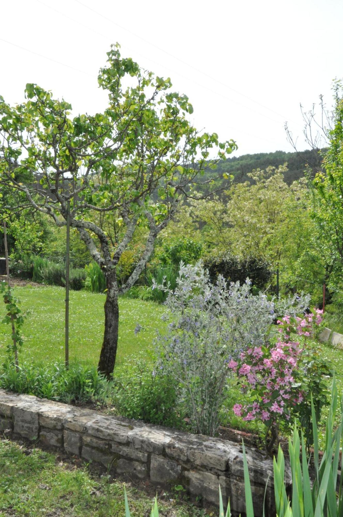 Guest House Most Buzet Exteriör bild